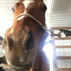 Meet your Posher, Mmitzi